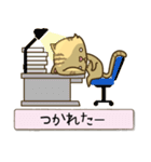 トラにゃんこスタンプ（個別スタンプ：10）