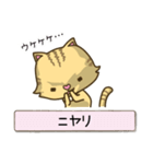 トラにゃんこスタンプ（個別スタンプ：30）