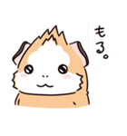 もるもっと店長（個別スタンプ：1）