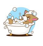チワワやりたい放題スタンプ（個別スタンプ：11）