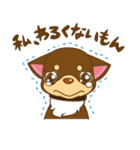 チワワやりたい放題スタンプ（個別スタンプ：17）