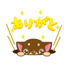 チワワやりたい放題スタンプ（個別スタンプ：19）