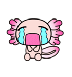 016