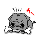 Black Pug ANKO（個別スタンプ：1）