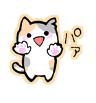 ころころこねこ。（個別スタンプ：29）