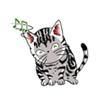 American Shorthair Cats（個別スタンプ：11）