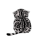 American Shorthair Cats（個別スタンプ：12）