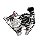 American Shorthair Cats（個別スタンプ：20）