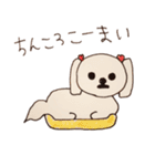 ぴーたん 第一弾 博多弁バージョン（個別スタンプ：13）