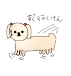 ぴーたん 第一弾 博多弁バージョン（個別スタンプ：37）