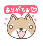 豆柴てっちゃん（個別スタンプ：4）