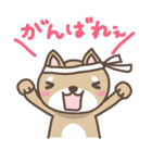 豆柴てっちゃん（個別スタンプ：12）