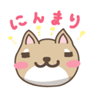 豆柴てっちゃん（個別スタンプ：18）