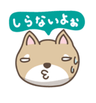 豆柴てっちゃん（個別スタンプ：27）