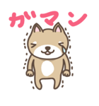 豆柴てっちゃん（個別スタンプ：37）