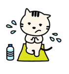 ネコマル（中国・繁体字版）（個別スタンプ：27）