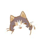 ねこの日常生活（個別スタンプ：30）