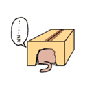 飼い猫とめのスタンプ（日常編）（個別スタンプ：21）