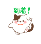 丸ねこ（個別スタンプ：24）