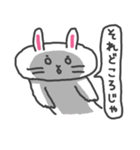 とりあえずうさぎ（個別スタンプ：13）