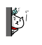 にぼしとそらまめ。（個別スタンプ：5）