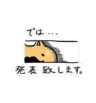 占って！Mr.ひげねこ（個別スタンプ：15）