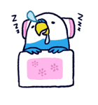 インコのいんここ（個別スタンプ：11）