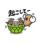 かめきち（個別スタンプ：29）