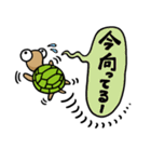 かめきち（個別スタンプ：36）