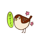 鳥類生活（個別スタンプ：10）