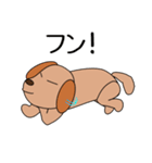 愛犬ちょこの一日。（個別スタンプ：25）