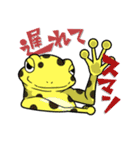 【キドクガエル】-既読蛙-（個別スタンプ：14）