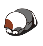 ねこリーマン（個別スタンプ：23）