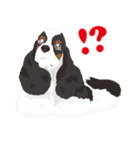 AmericanCockerSpaniel（個別スタンプ：21）