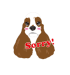 AmericanCockerSpaniel（個別スタンプ：23）