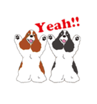 AmericanCockerSpaniel（個別スタンプ：25）