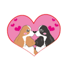 AmericanCockerSpaniel（個別スタンプ：29）