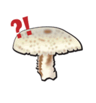 きのこ（個別スタンプ：5）