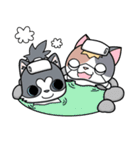 忍者ネコと侍わんこ（個別スタンプ：31）