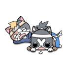 忍者ネコと侍わんこ（個別スタンプ：39）