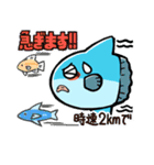 マンボウの冒険（個別スタンプ：11）