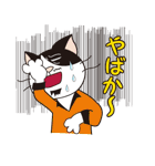 土建屋ねこ社長九州弁（個別スタンプ：31）