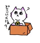 あごねこ（個別スタンプ：5）