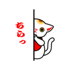 【日本語・英語両対応！】招き猫ですよ～。（個別スタンプ：25）