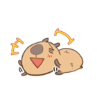 カピバラのさとしさん（個別スタンプ：7）