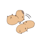 カピバラのさとしさん（個別スタンプ：16）
