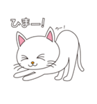 しろねこちゃん（個別スタンプ：15）