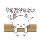 しろねこちゃん（個別スタンプ：19）