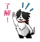 青うさぎと森のなかまたち（個別スタンプ：29）
