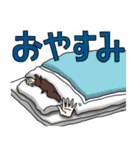アニマラーズ（個別スタンプ：8）